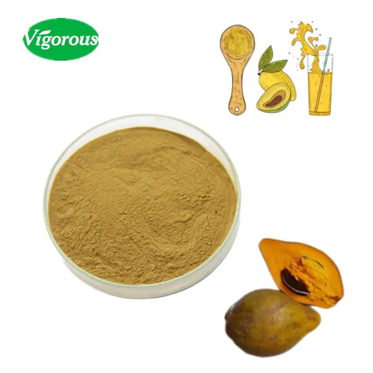 ISO factory free samples high quality pure lucuma powder