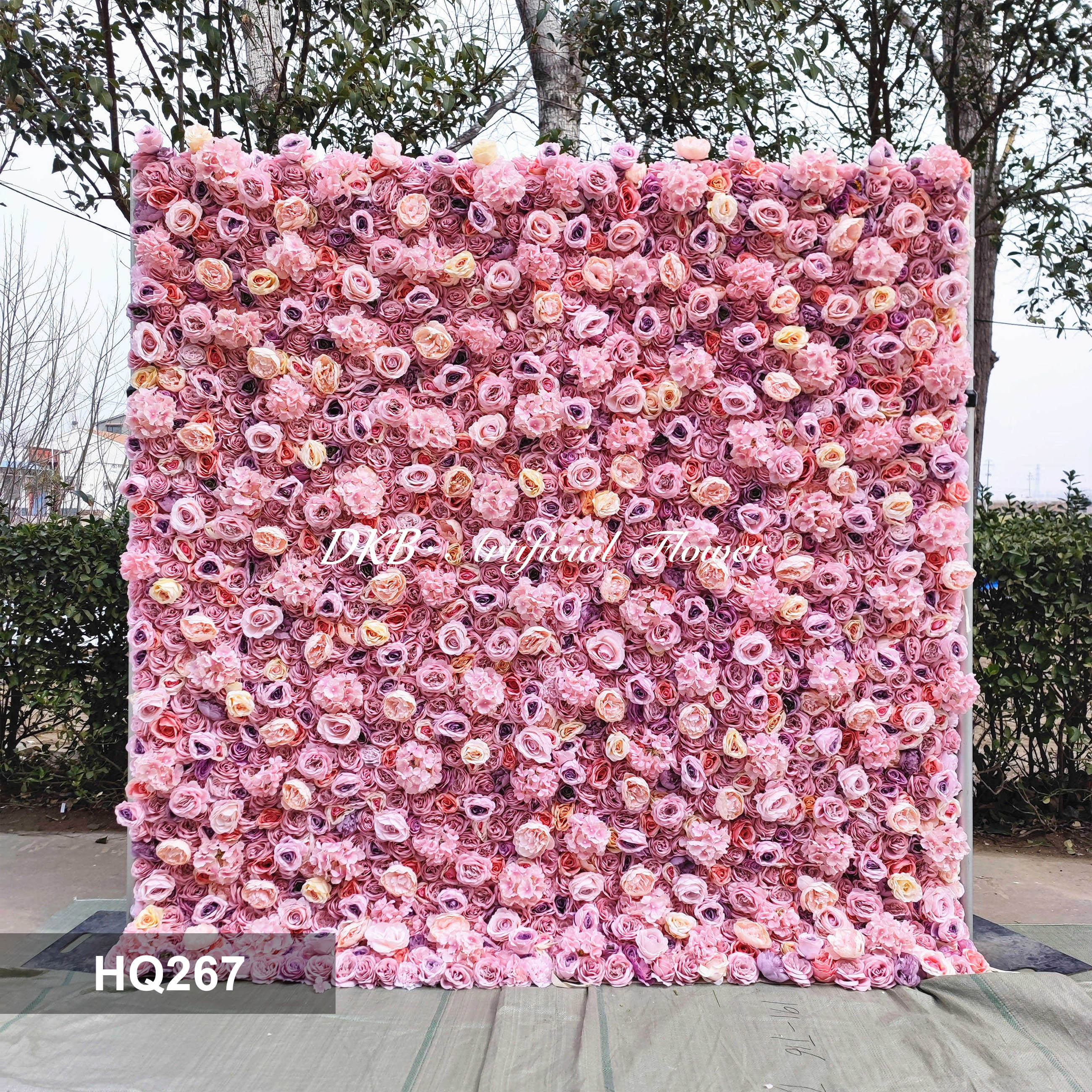 HQ267