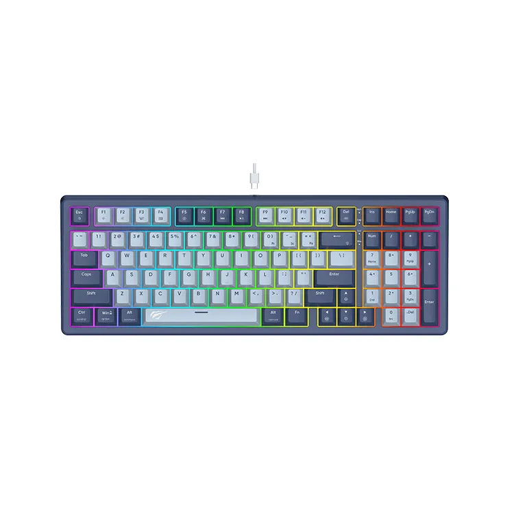 Havit KB882L 98 Keys All-Metal Panel Rainbow LED Backlit Quiet Computer Light Up USB Wired Gaming Keyboard for PC