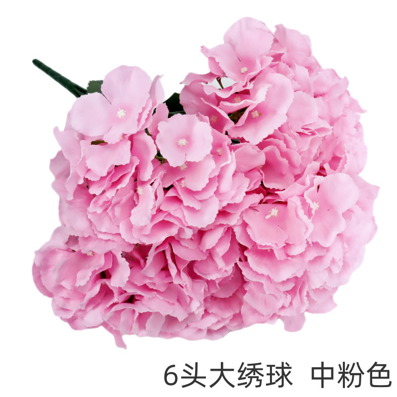 Hydrangée à six têtes, grand format, rose moyen.