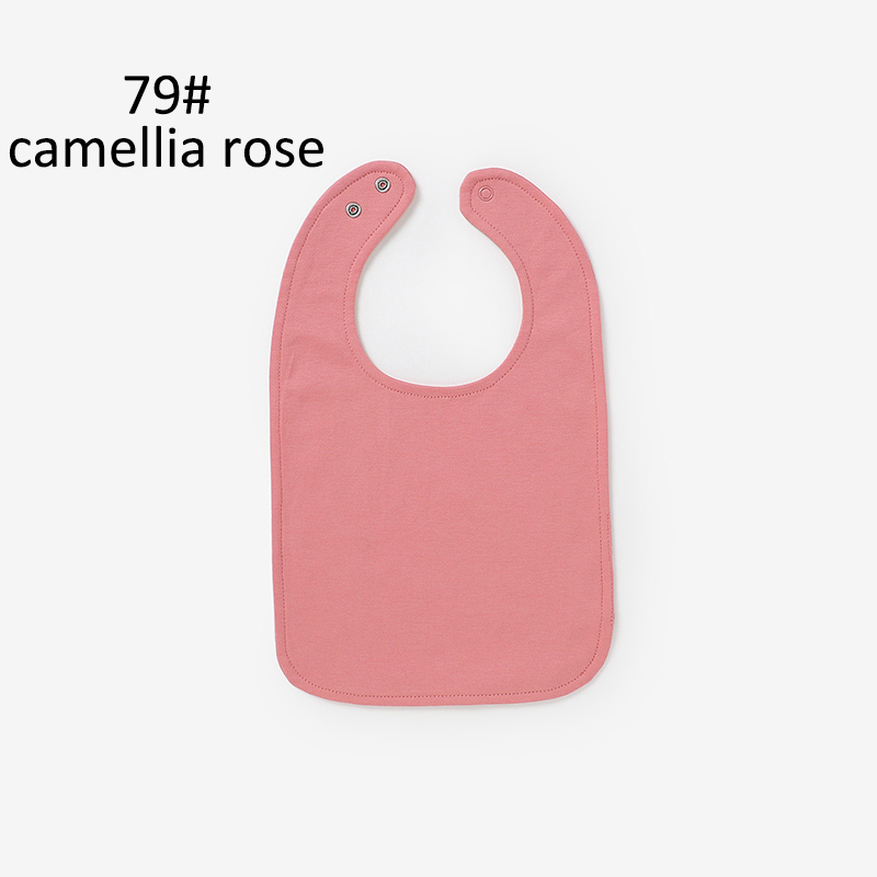 79# Rosa camelia
