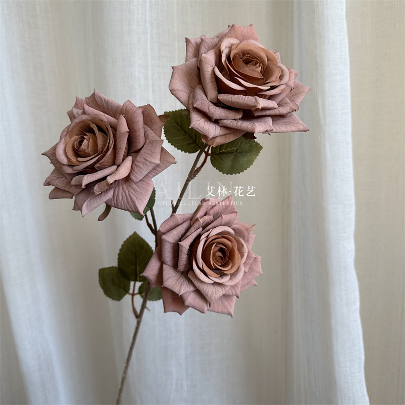 3 head mocha rose deep coffee