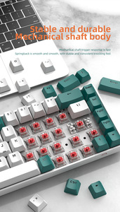 Teclado mecánico RGB personalizado con 68 teclas, Teclado mecánico Wolf T8 gratis para tableta, portátil, teclado para juegos de ordenador