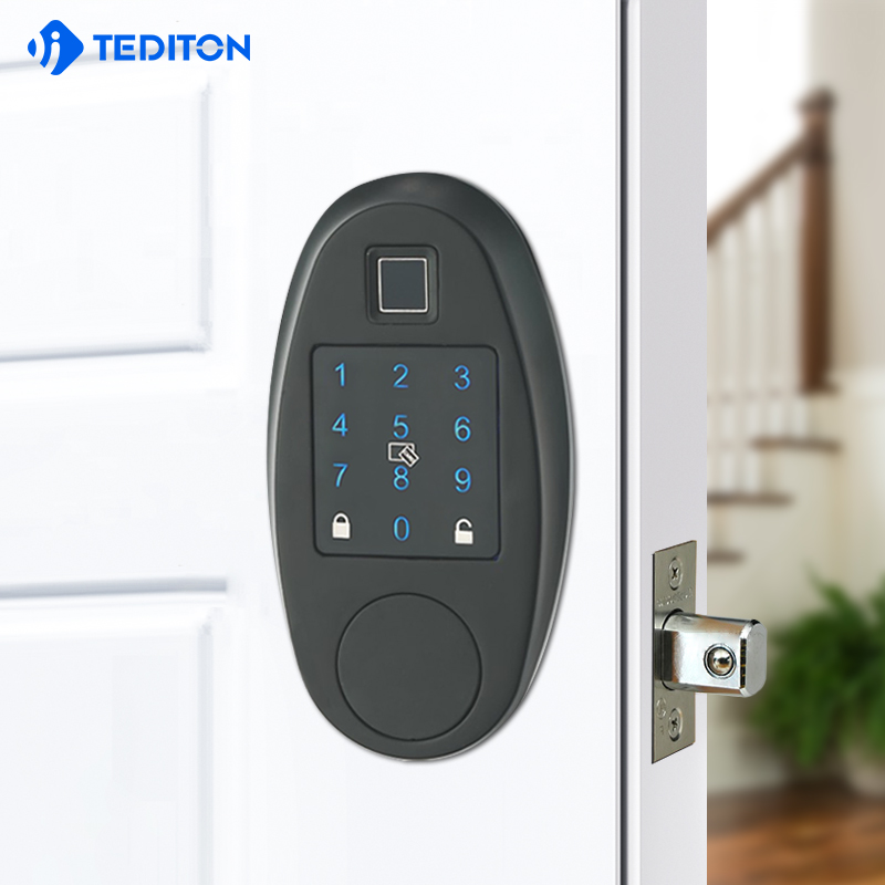 Security Electronic Password door locks with ttlock WiFI Biometric fingerprint smart digital lock door