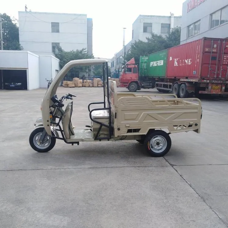 Tricycle Cargo pliable, tricycle à charge lourde, mini coffre pour passager, usine