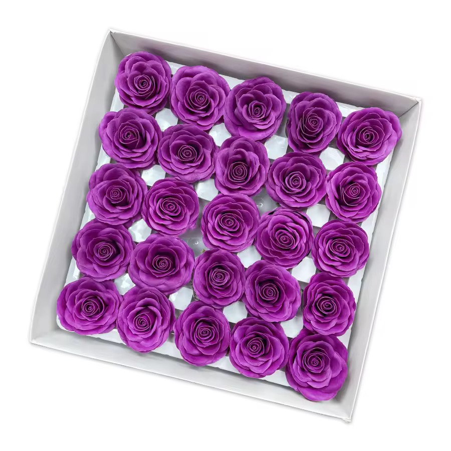 Pourpre