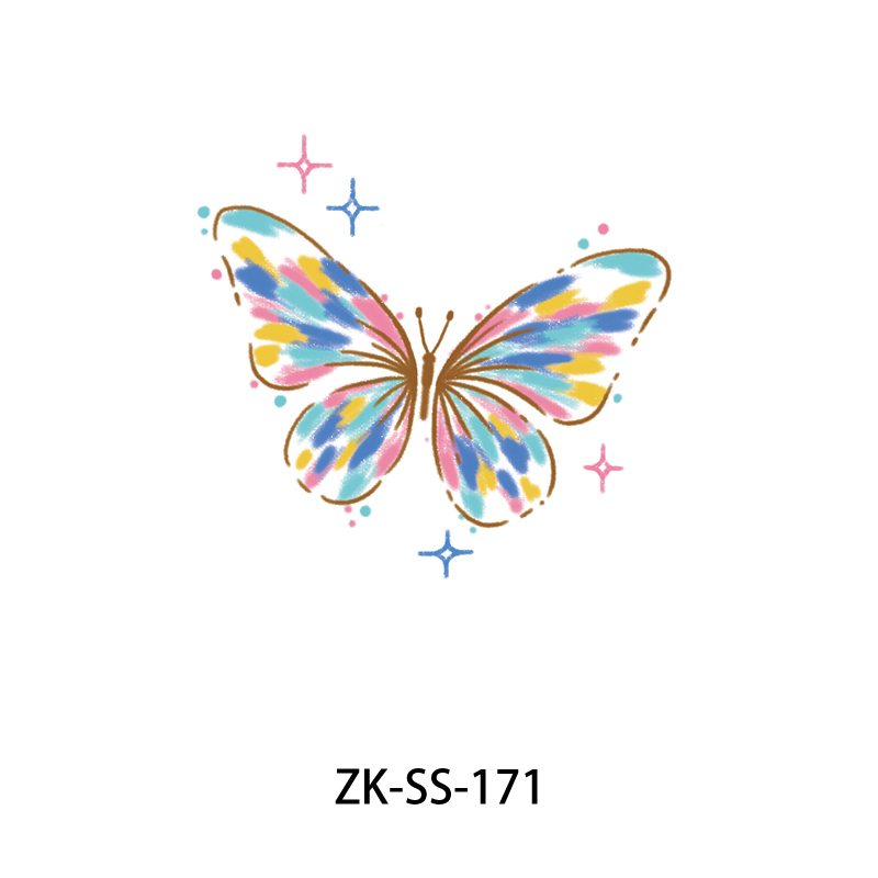 ZK-SS-171
