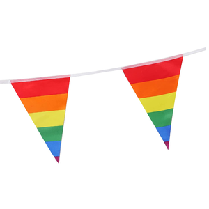 Hot Selling Decorative Colored Polyester <strong>Triangle</strong> Pennant <strong>String</strong> Lgbt Gay <strong>Flag</strong> <strong>Bunting</strong> <strong>Flags</strong> - Product Image 2