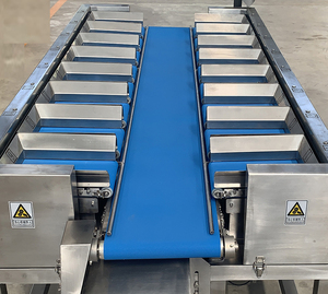 Precision Weight Combination <strong>Sorting</strong> <strong>Machine</strong> - Multi-station Belt <strong>Sorting</strong> System with Linear Combination Weigher - Product Image 5
