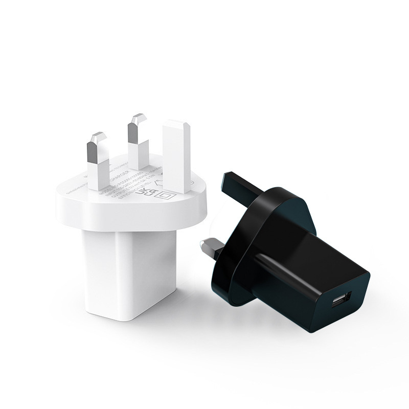 British Standard UKCA Certified Charger (Cable Not Included)
