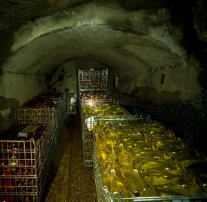 วิธีคลาสสิกไวน์อิตาลีขนาด750มล. Eli Brut Giuseppe Verdi เลือกไวน์ขาวผลิตในอิตาลี - Product Image 5