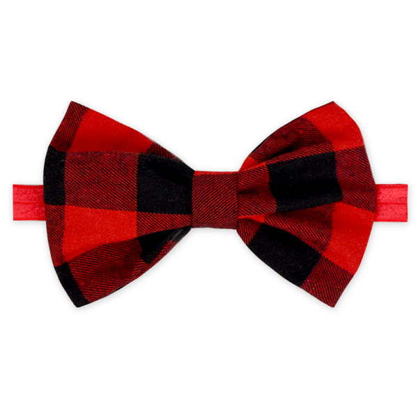 ซัสเพนเดออาร์2