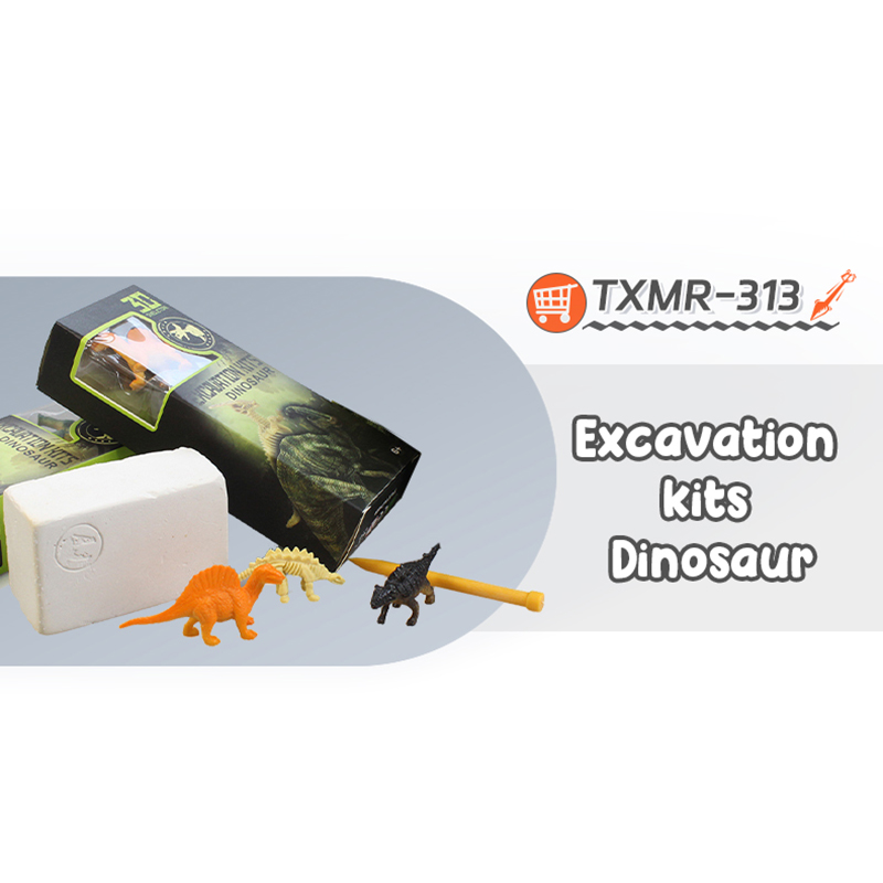 TXMR-313