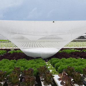 Landwirtschaft Landwirtschaft Kunststoff Pe Netting Vogelschutz Anti Hagel Netz Netze Abdeckung für Farm Farming Trauben Apfelbaum Bäume - Product Image 6