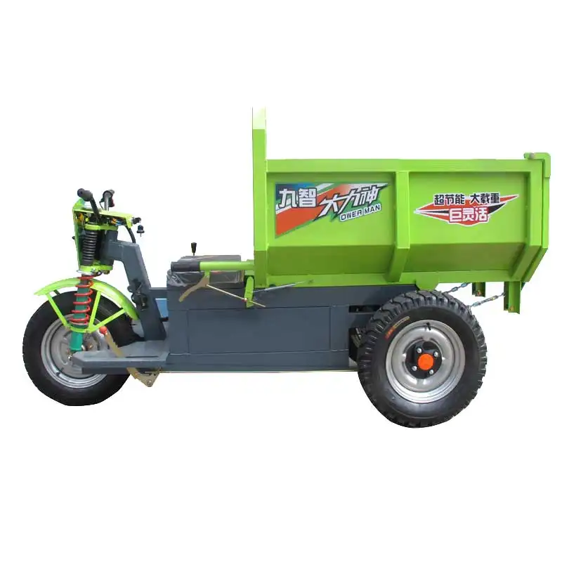Rolande triciclo Cargo Truck tricicli elettrici 3 ruote Cargo Bike