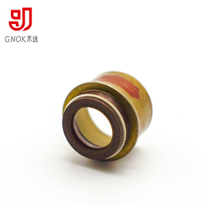 Gnok Tùy Chỉnh Flo Cao Su Van Stem Con Dấu Dầu 6d40 Động Cơ Xe Máy Van Con Dấu Nhà Máy Trực Tiếp 6d40 Động Cơ Xe Máy Con Dấu - Product Image 5