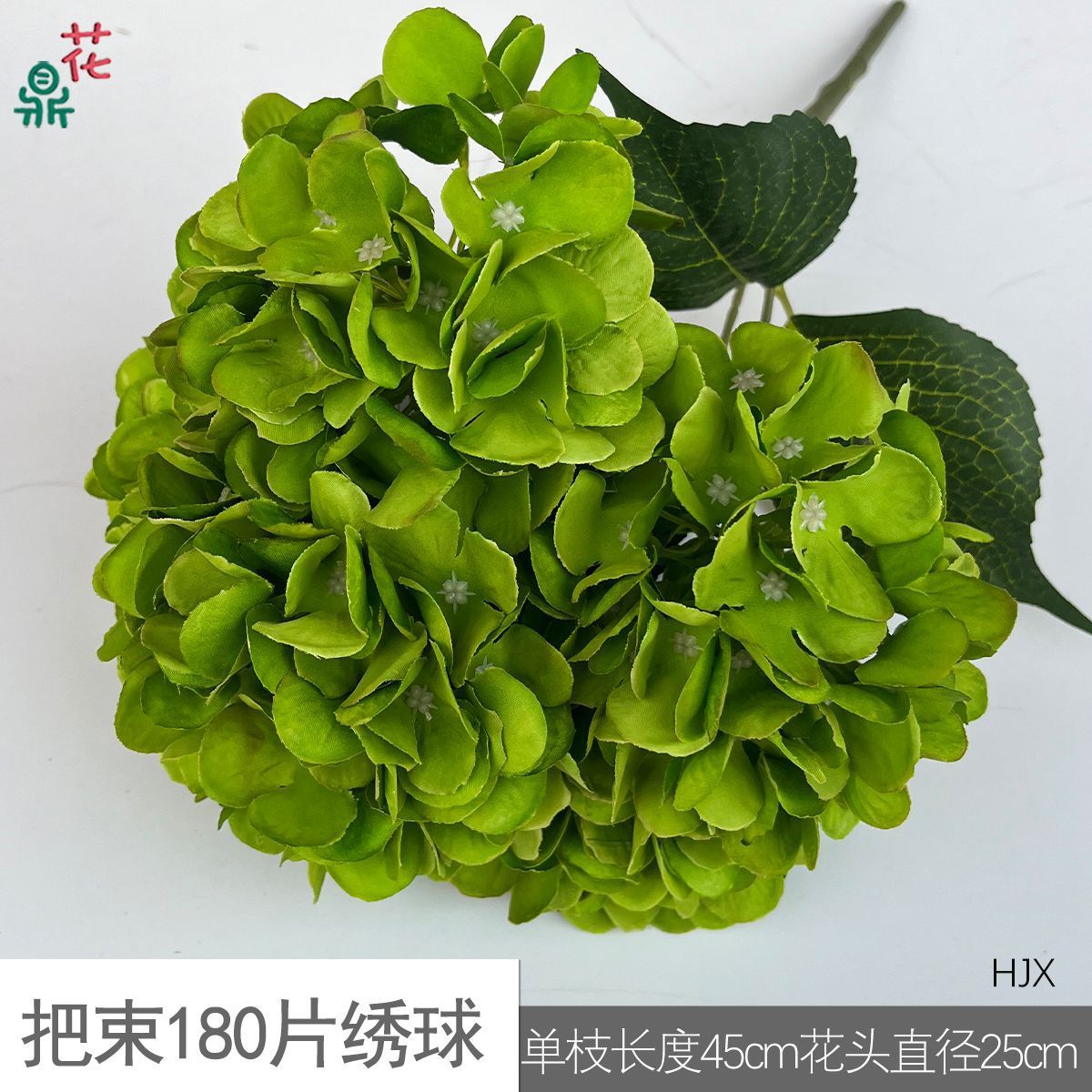 Un manojo de 180 pétalos de hortensia HJX verde