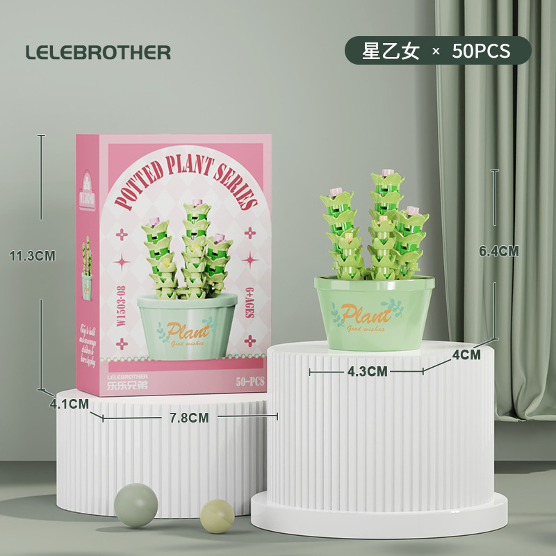 W1503-08 star b female-50pcs