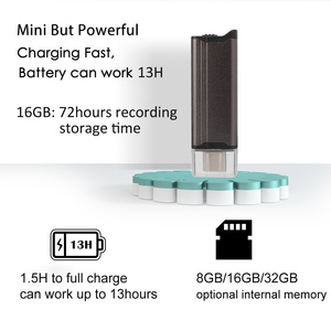 Accetta OEM USB U Stick 16GB metallo Shell piccolo Mini USB registratore vocale per lezione