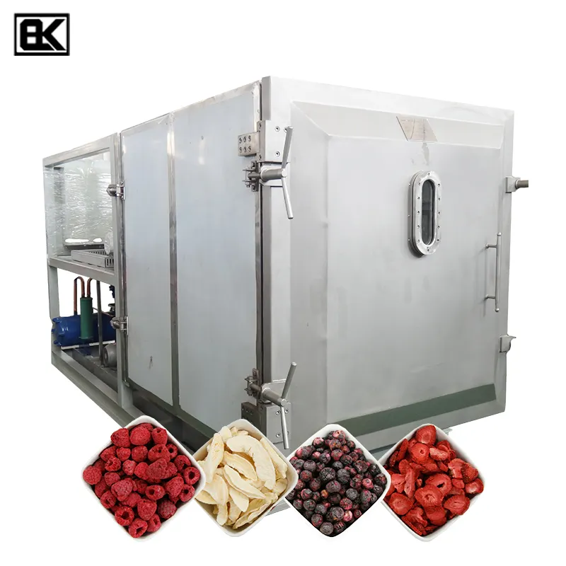 2021 New Food Grade scientific cryogenic wholesale meat vegetable celery freeze dryer equipment for lab