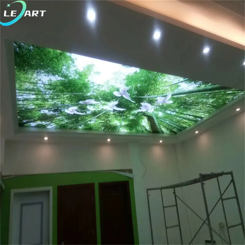 LeArt Decorações em PVC com estampa 3D em tecido para teto, painel elástico para isolamento de plantas e construção de armazéns