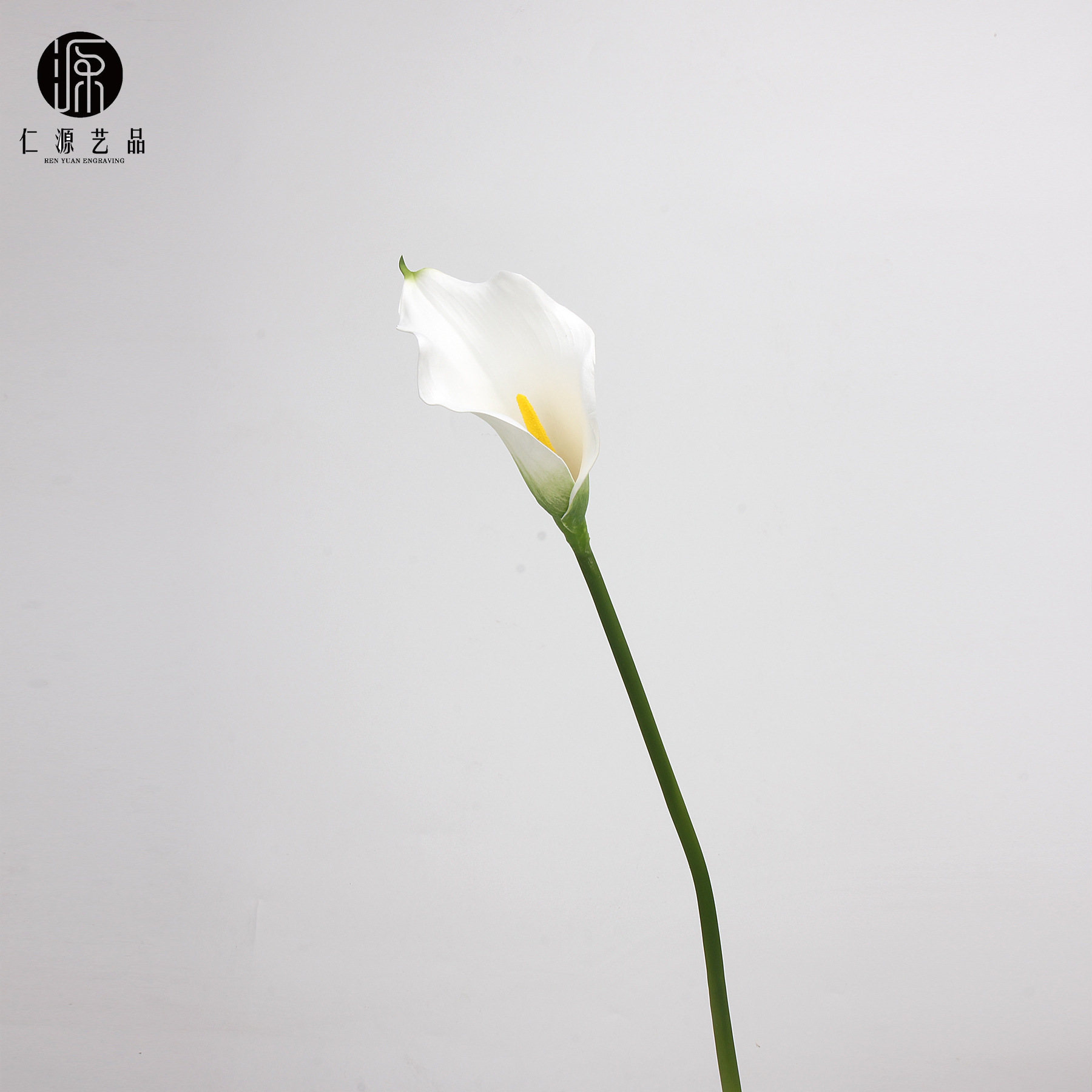 White Large