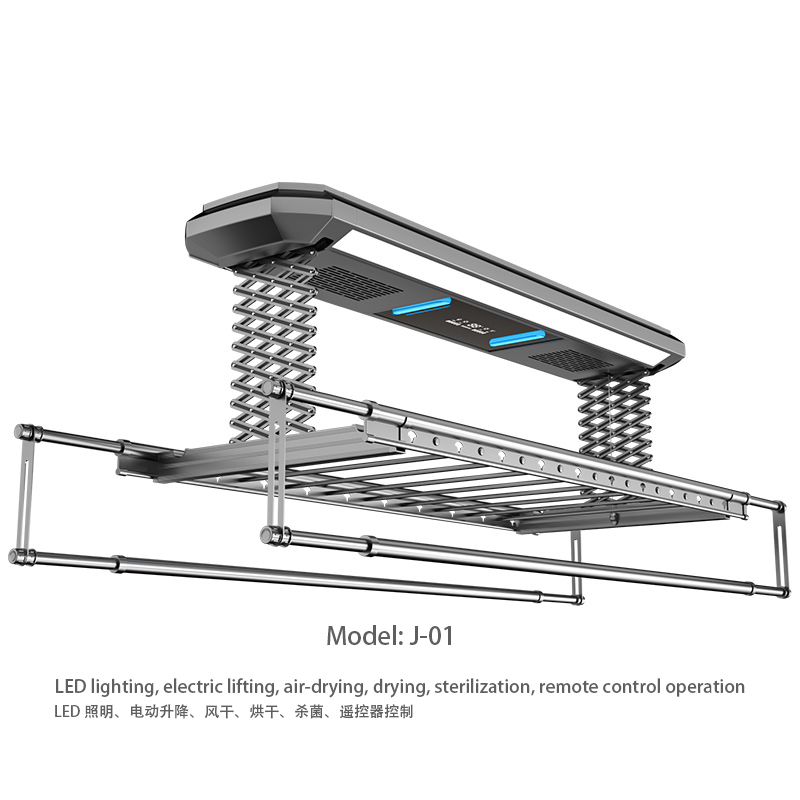 J-01 standard model