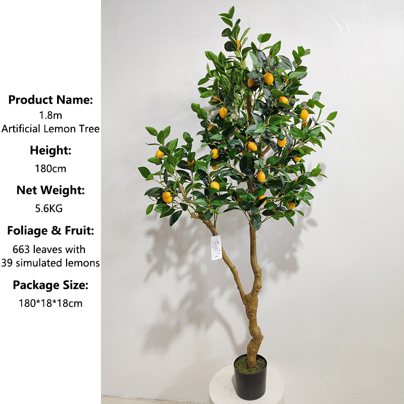 Green 180cm Regular