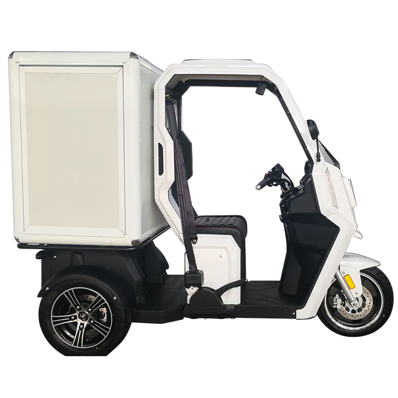 2000W Vracht Driewieler Agrarische Ouderen Cargo Custom Volwassen Gemotoriseerde Elektrische Driewieler Automatische Riksja Voor Verkoop