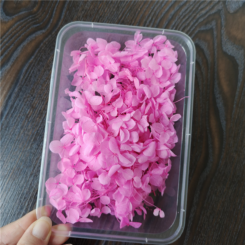 Couleur blanchissante-rose vif-facile à décolorer
