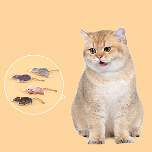 Nuevo gato de hierba gatera que mordisquea el gato de peluche de juguete Simulación gato de juguete ratón - Product Image 3