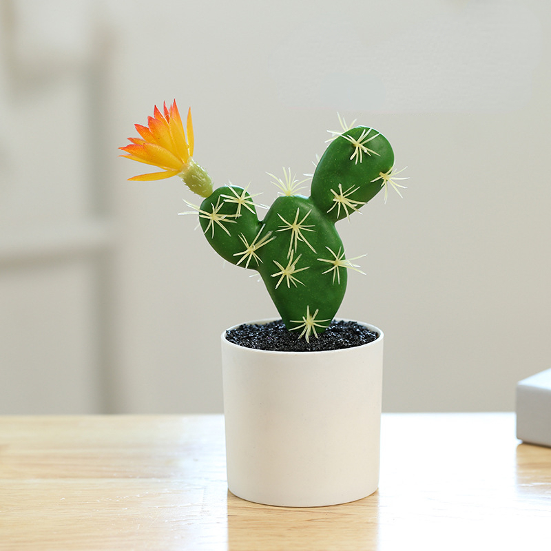 Small Pot Plant (Plastic Basin)