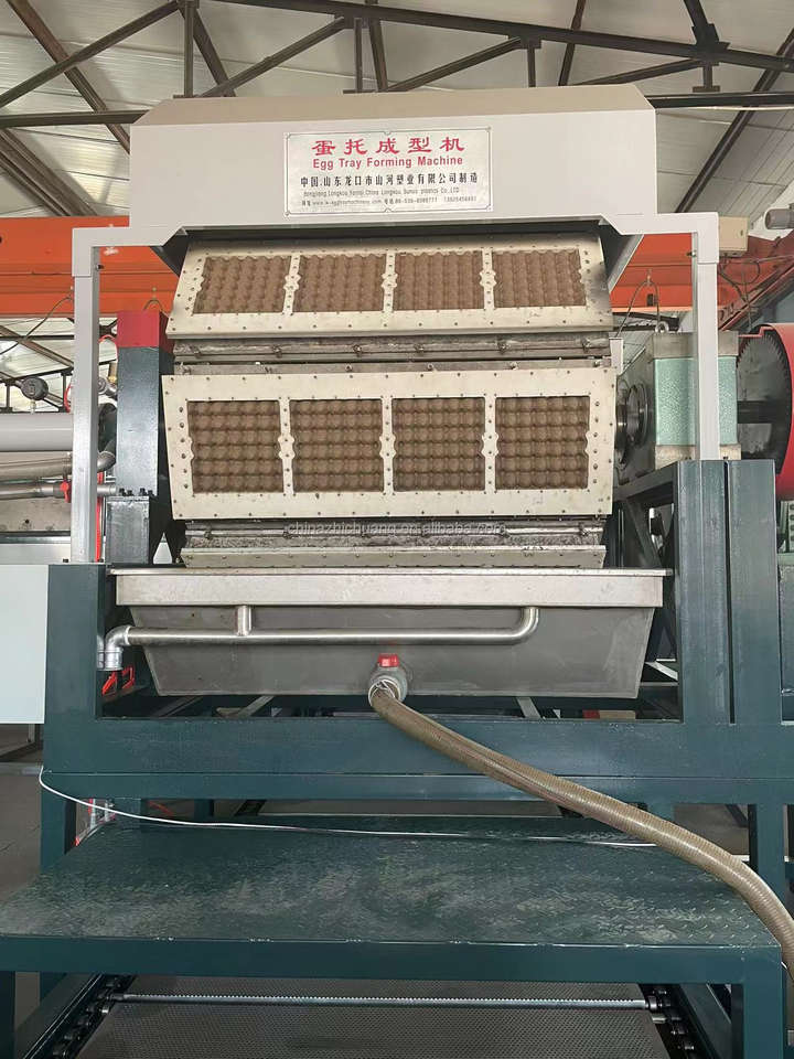 Fully Automated Egg Tray Production Line with PLC & Motor Core Components for Maximum Output