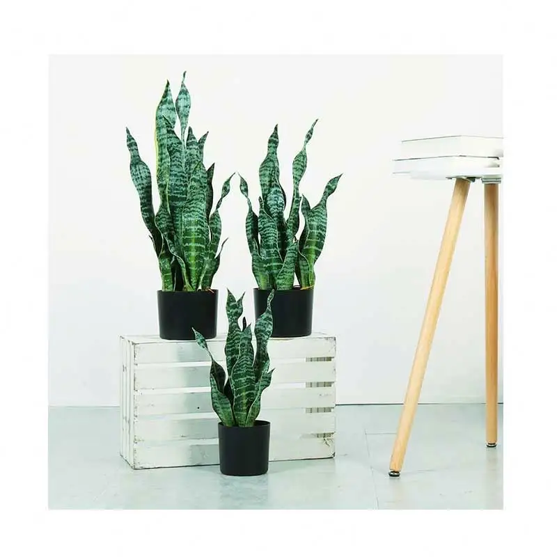 New good cheap yellow look realistic artificial sansevieria artificial plant snake