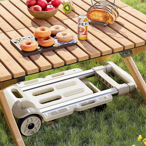 Multifunctional Household Storage Racks PP Material Folding <strong>Trolley</strong> with Thick Platform for Warehouse Pulling and Storage - Product Image 2
