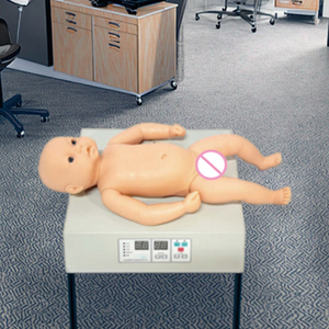 <strong>Computer</strong> Model of Infant Heart and Lung Auscultation Microcomputer Display Board - Product Image 5