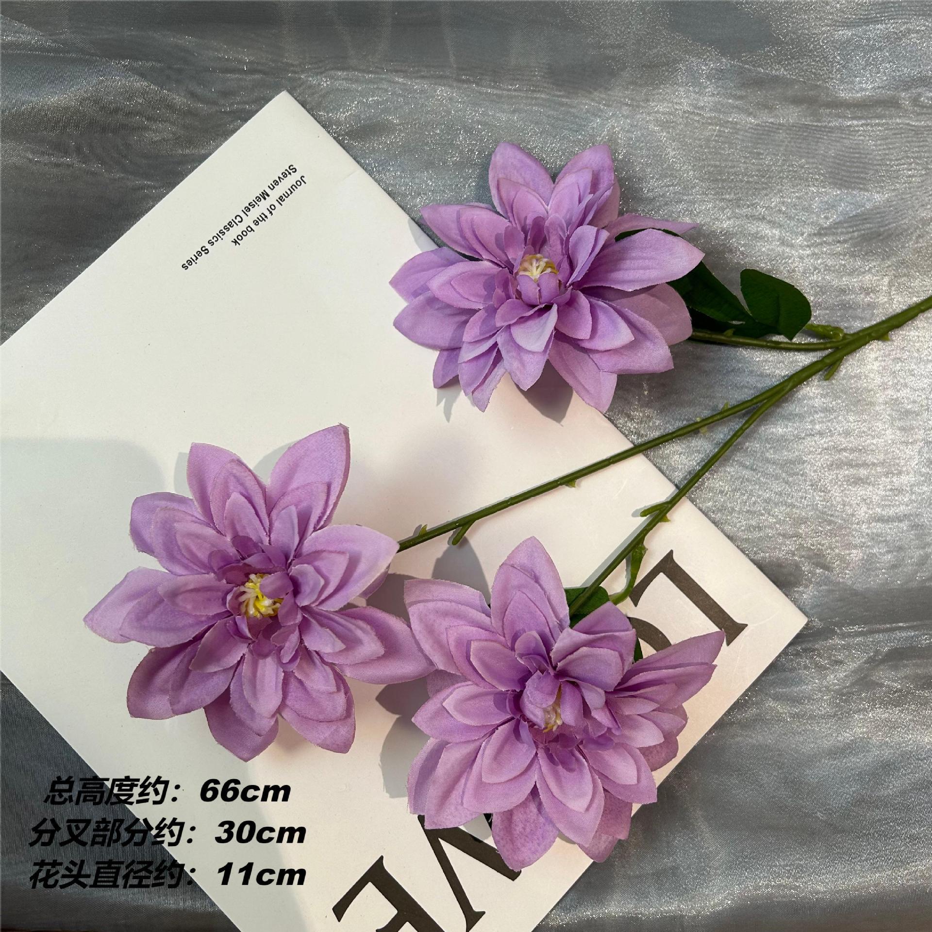 Zx xiaoli flower