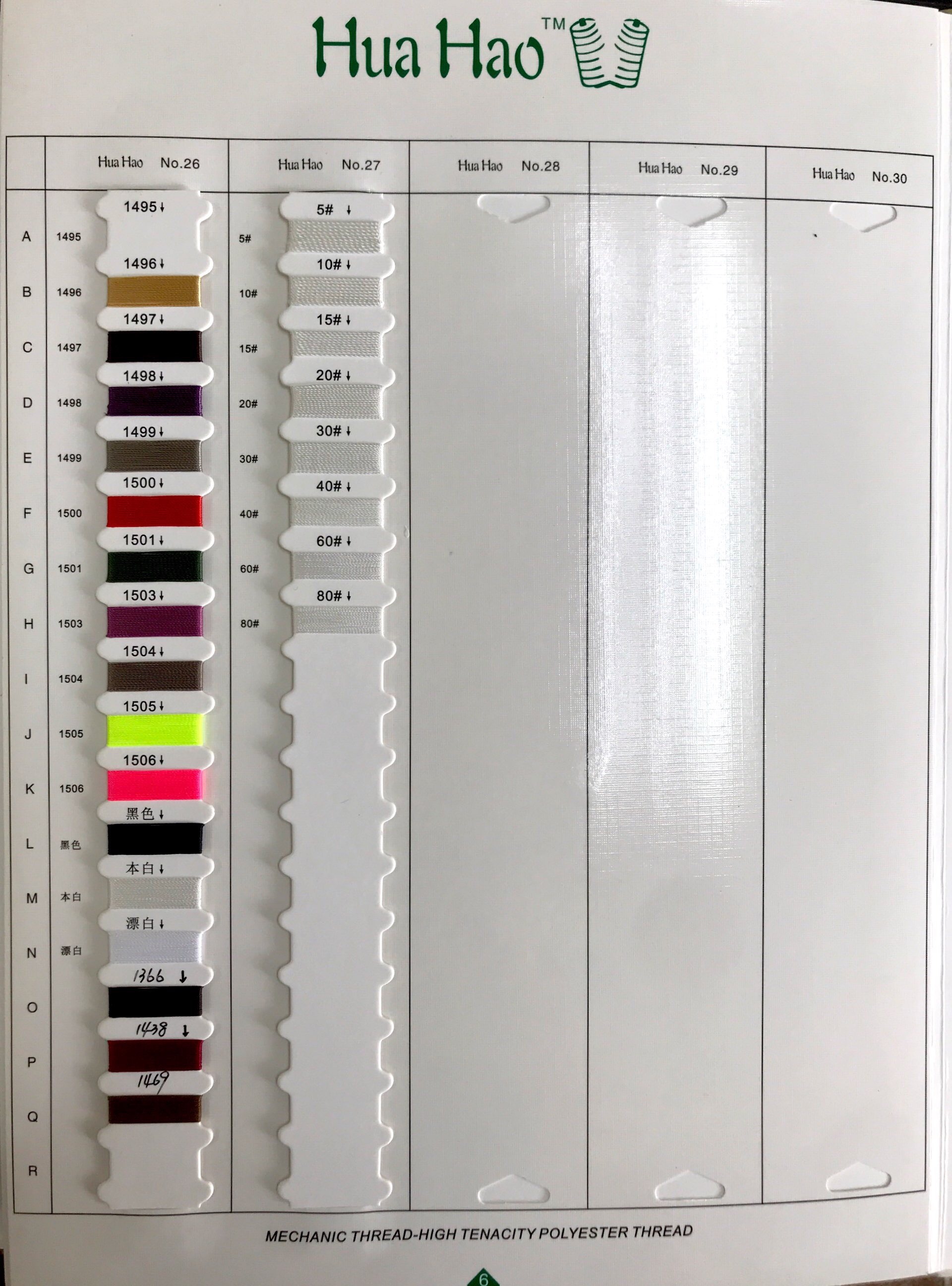 Color 5