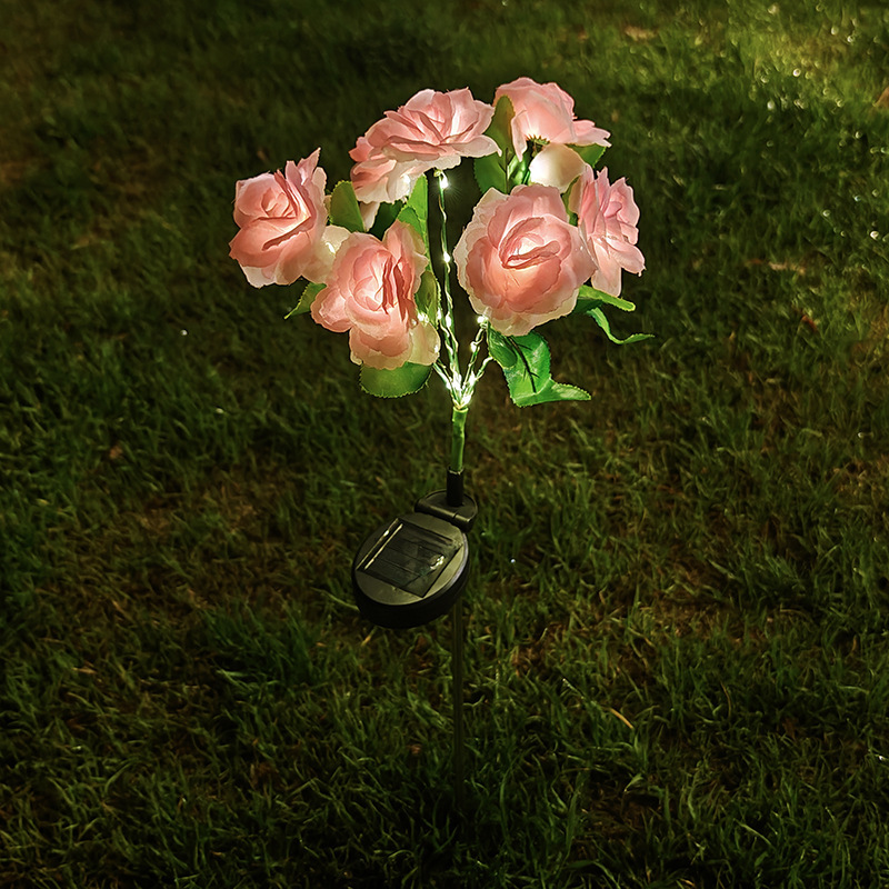 Pink Rose