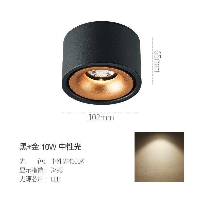 สีดำทอง10W