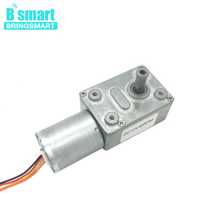 BringSmart JGY-2430 24v高扭矩低速直流蜗轮电机无刷直流电机，带混合器用微型无刷直流齿轮电机