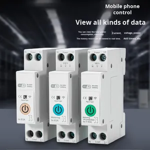 Interruptor temporizador inteligente Tuya Xiaodu Wifi, disyuntor en miniatura de cobre y plástico con Control remoto inalámbrico para uso doméstico