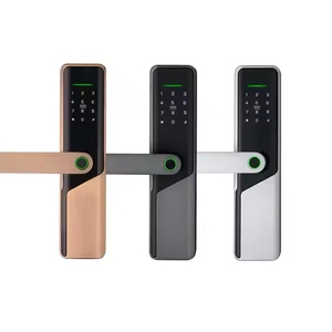 メインドア入口ロックアクセス制御ロック外部スマートデジタルドアセキュリティフロントハンドルTtlock Tuyaキー入力 - Product Image 1