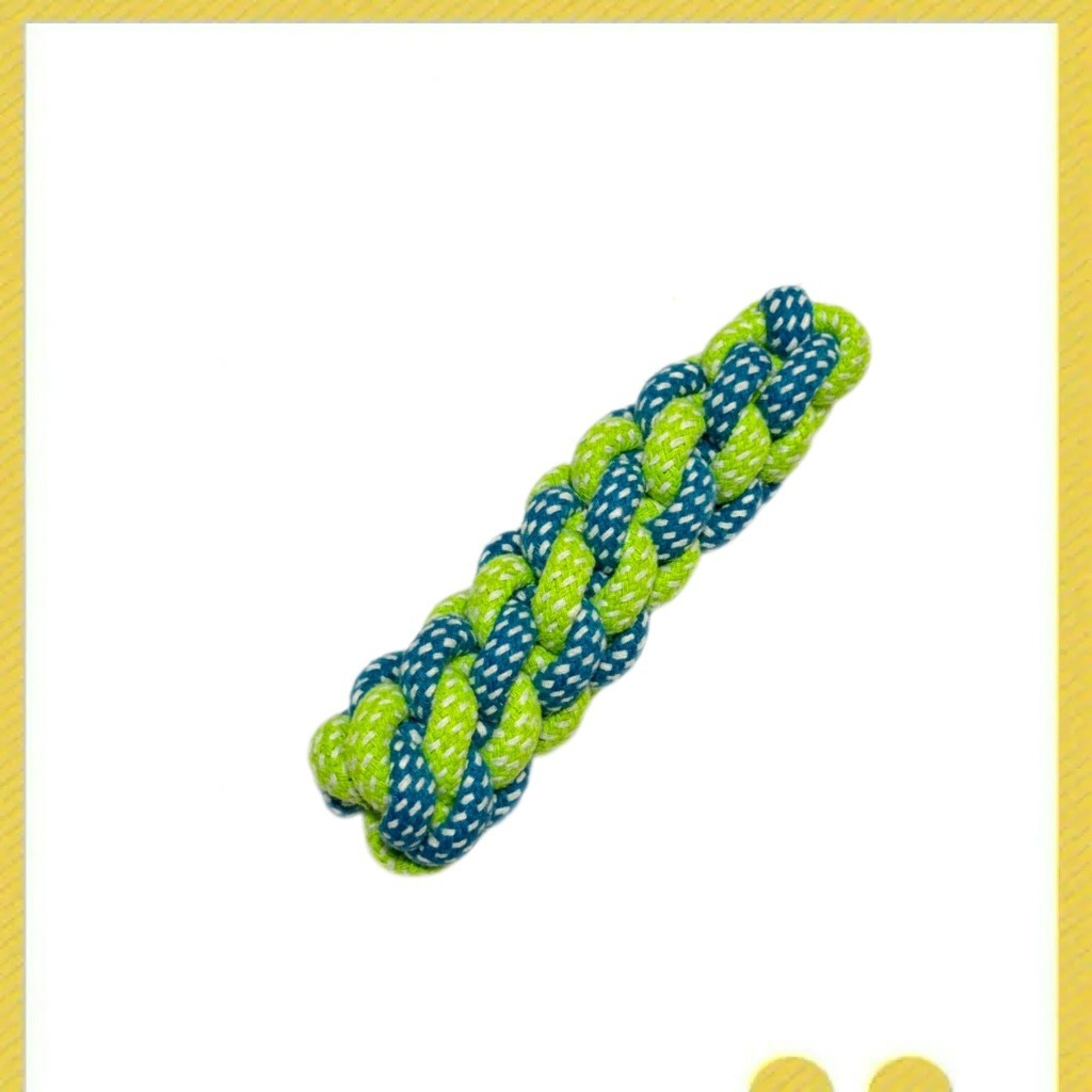 Two-color corn on the cob Green
