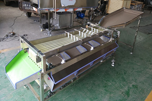 Fruit and Vegetable Sorter Cherry <strong>Date</strong> Size Grading <strong>Sorting</strong> <strong>Machine</strong> Passion Fruit Sorter Fruit Grading <strong>Machine</strong> - Product Image 3