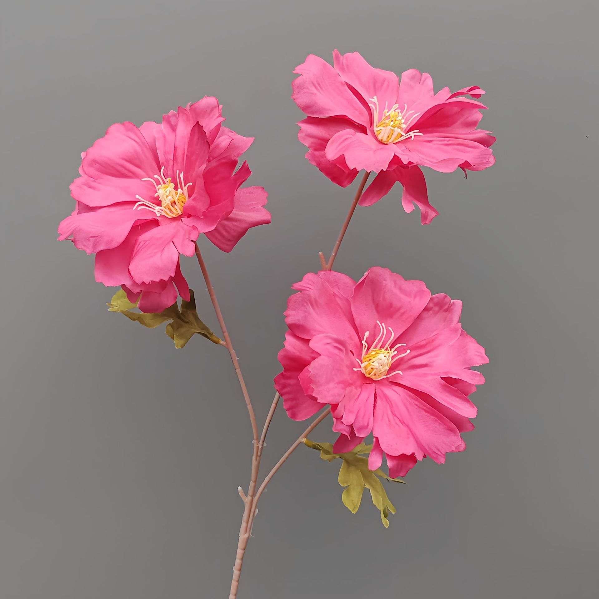 Lan xi-rose rouge-65cm