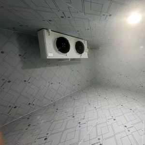 Kho lạnh trái cây tùy chỉnh cho vườn cây/bán buôn/siêu thị: kế hoạch nhỏ đến lớn & thiết kế tuân thủ - Product Image 2