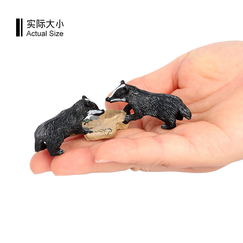 2385 Tejón pequeño