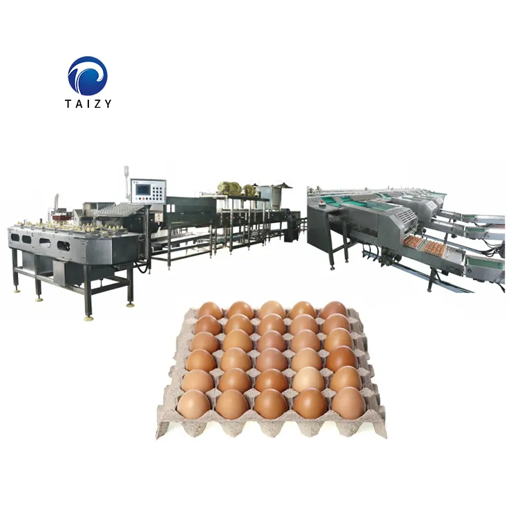 20000 stück/std. eiersortierer verarbeitung sortierung und verpackung fortschrittliche eiersortiermaschine