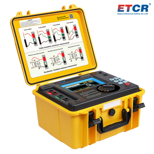 ETCR3500 ETCR3520 Various Automatic <strong>Detection</strong> <strong>Functions</strong> 5kV Hight Voltage Insulation Resistance Tester - Product Image 2